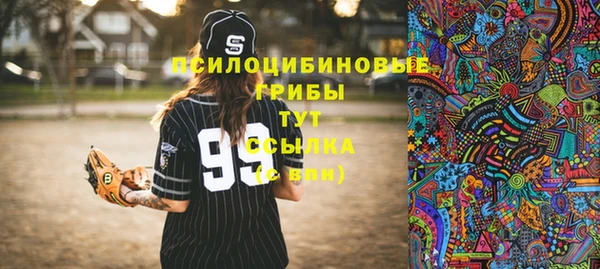 Альфа ПВП Нефтекумск
