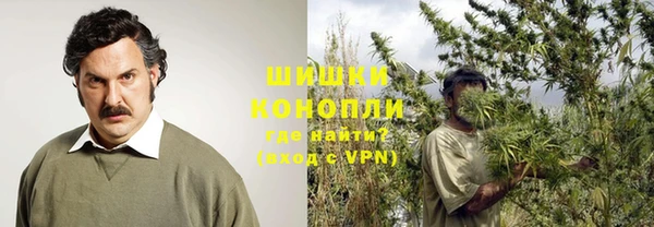 мяу мяу мука Надым